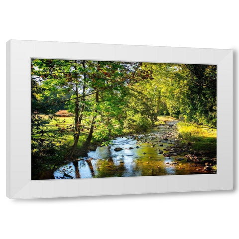 Happy Little Stream White Modern Wood Framed Art Print by Hausenflock, Alan