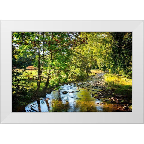 Happy Little Stream White Modern Wood Framed Art Print by Hausenflock, Alan