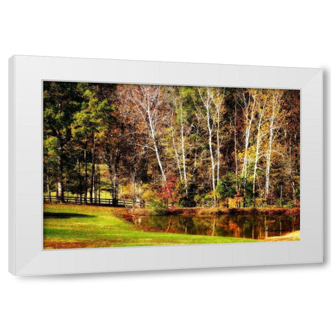 Horse Pond White Modern Wood Framed Art Print by Hausenflock, Alan