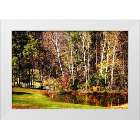 Horse Pond White Modern Wood Framed Art Print by Hausenflock, Alan