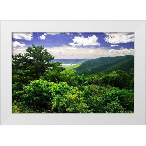 Dickey Ridge White Modern Wood Framed Art Print by Hausenflock, Alan