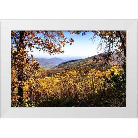 Blue Ridge Autumn White Modern Wood Framed Art Print by Hausenflock, Alan