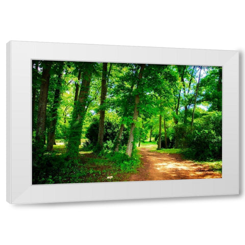 Barbourville Woods White Modern Wood Framed Art Print by Hausenflock, Alan