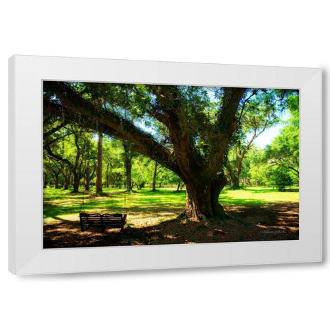 Tree Swing White Modern Wood Framed Art Print by Hausenflock, Alan