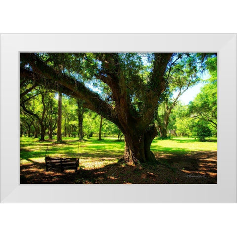 Tree Swing White Modern Wood Framed Art Print by Hausenflock, Alan