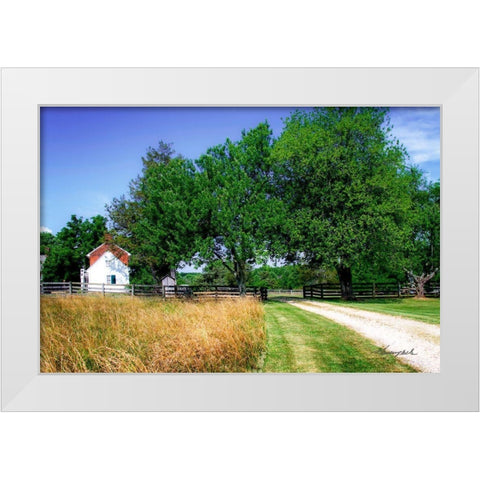 Early America I White Modern Wood Framed Art Print by Hausenflock, Alan