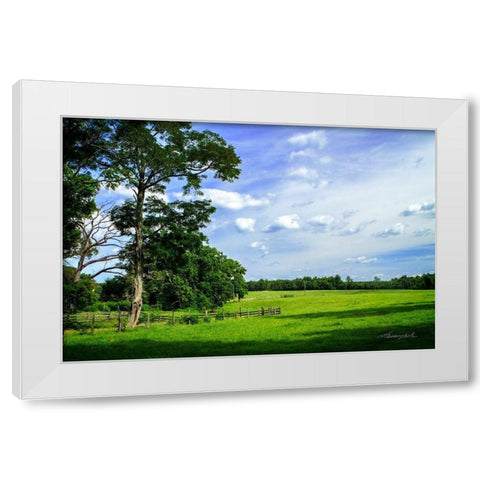 Abandoned Ranch White Modern Wood Framed Art Print by Hausenflock, Alan