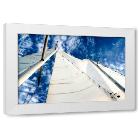 Windjammer I White Modern Wood Framed Art Print by Hausenflock, Alan