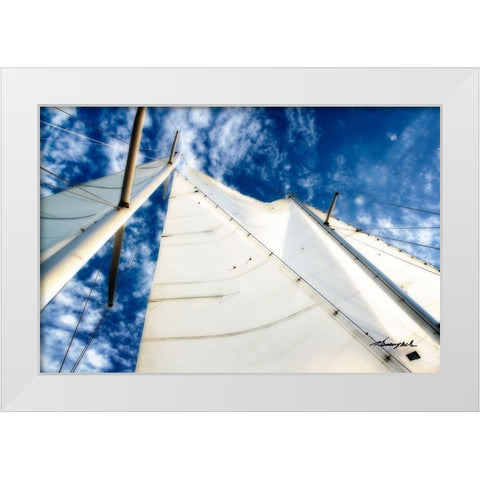 Windjammer I White Modern Wood Framed Art Print by Hausenflock, Alan