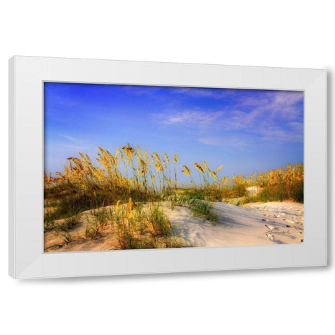 Waving Sea Oats White Modern Wood Framed Art Print by Hausenflock, Alan