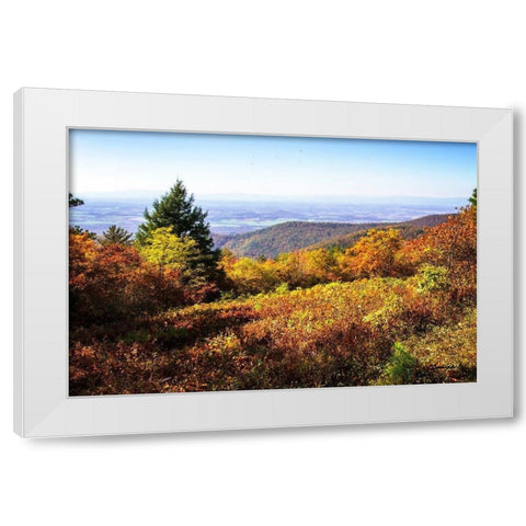 Skyline Drive 6 White Modern Wood Framed Art Print by Hausenflock, Alan