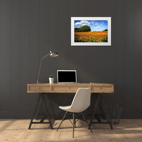 Soybean Harvest White Modern Wood Framed Art Print by Hausenflock, Alan