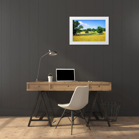 Farming Fields White Modern Wood Framed Art Print by Hausenflock, Alan