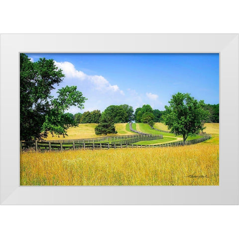 Farming Fields White Modern Wood Framed Art Print by Hausenflock, Alan