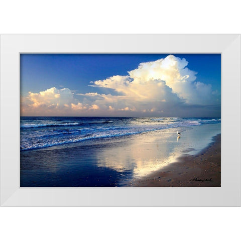 Seagull on the Shore White Modern Wood Framed Art Print by Hausenflock, Alan