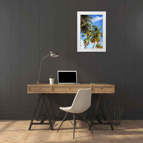 Sunlit Palms White Modern Wood Framed Art Print by Hausenflock, Alan