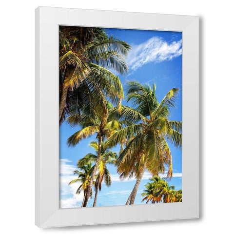 Sunlit Palms White Modern Wood Framed Art Print by Hausenflock, Alan