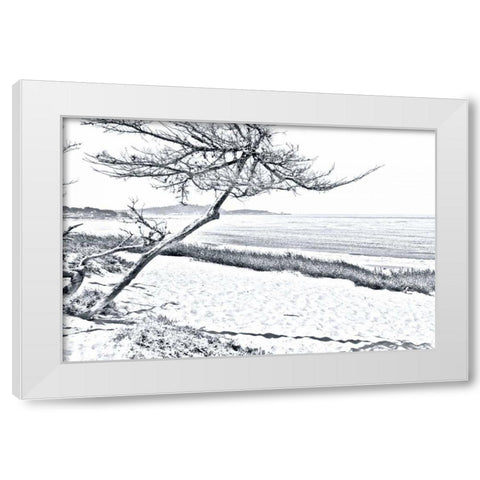 Carmel Beach III White Modern Wood Framed Art Print by Hausenflock, Alan