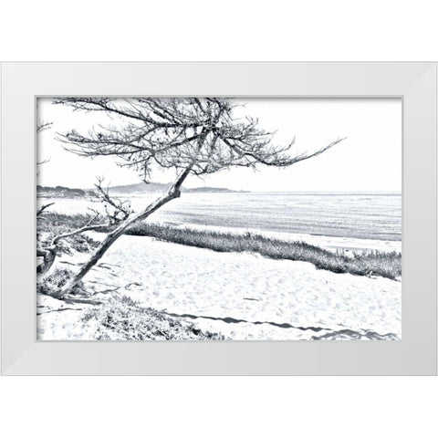 Carmel Beach III White Modern Wood Framed Art Print by Hausenflock, Alan