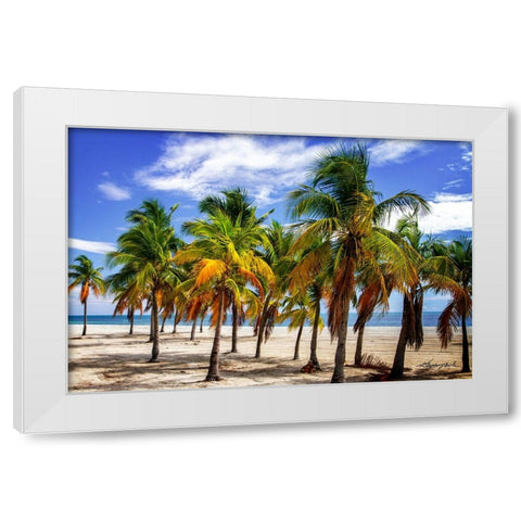 Palms on the Beach I White Modern Wood Framed Art Print by Hausenflock, Alan