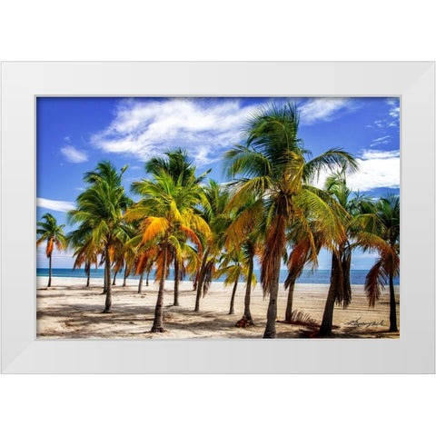 Palms on the Beach I White Modern Wood Framed Art Print by Hausenflock, Alan