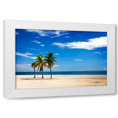 Palms on the Beach III White Modern Wood Framed Art Print by Hausenflock, Alan