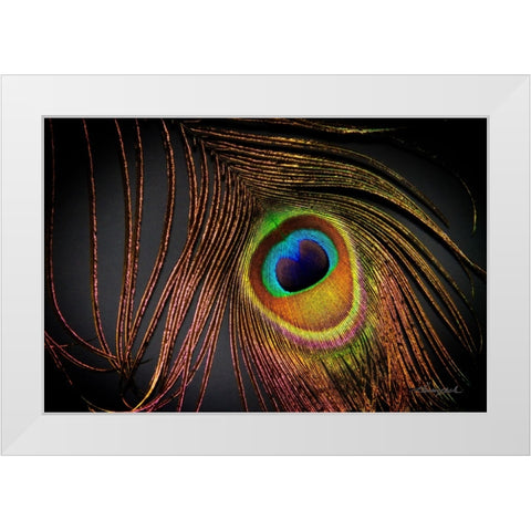 Peacock Feather I White Modern Wood Framed Art Print by Hausenflock, Alan