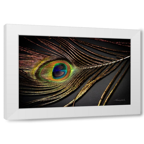 Peacock Feather II White Modern Wood Framed Art Print by Hausenflock, Alan