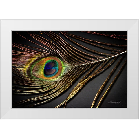 Peacock Feather II White Modern Wood Framed Art Print by Hausenflock, Alan