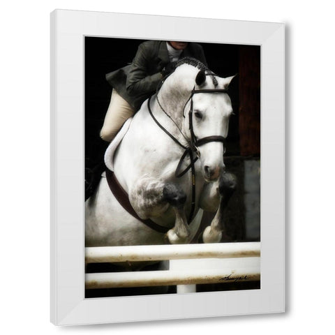 Jumping Hunter I White Modern Wood Framed Art Print by Hausenflock, Alan