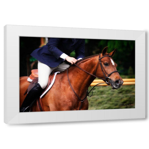 Dressage I White Modern Wood Framed Art Print by Hausenflock, Alan