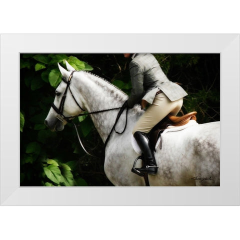 Dressage II White Modern Wood Framed Art Print by Hausenflock, Alan