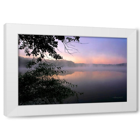 Shelley Lake Fog White Modern Wood Framed Art Print by Hausenflock, Alan