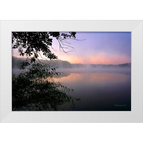 Shelley Lake Fog White Modern Wood Framed Art Print by Hausenflock, Alan