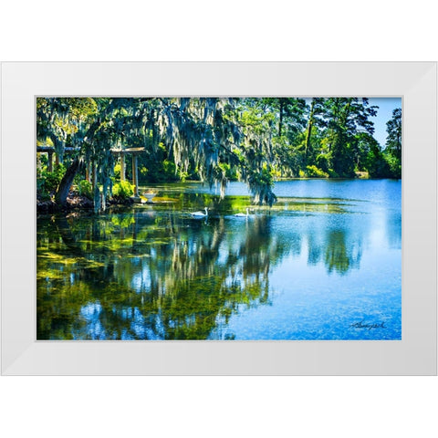 Swans in the Afternoon White Modern Wood Framed Art Print by Hausenflock, Alan