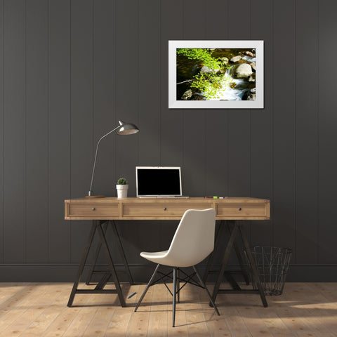 Crabtree Creek White Modern Wood Framed Art Print by Hausenflock, Alan