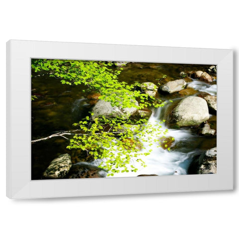 Crabtree Creek White Modern Wood Framed Art Print by Hausenflock, Alan