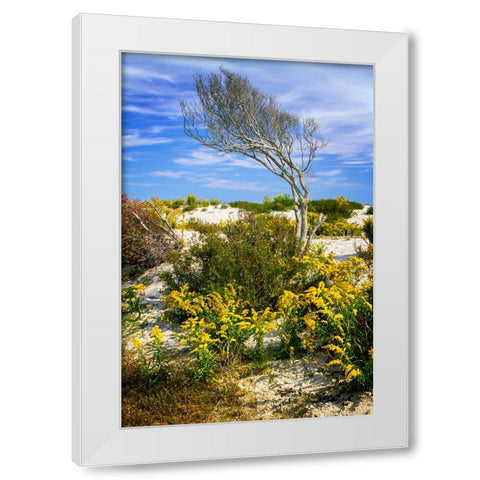 Beach Tree White Modern Wood Framed Art Print by Hausenflock, Alan