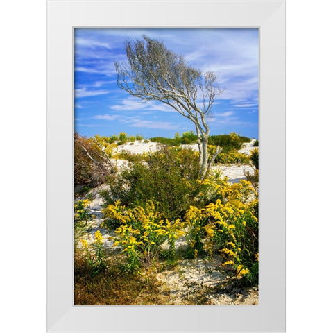 Beach Tree White Modern Wood Framed Art Print by Hausenflock, Alan