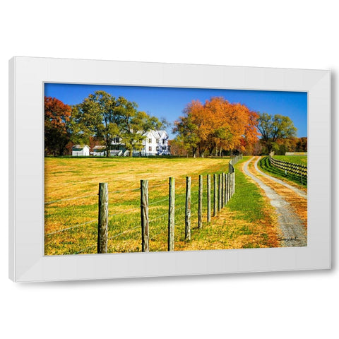 Homestead White Modern Wood Framed Art Print by Hausenflock, Alan