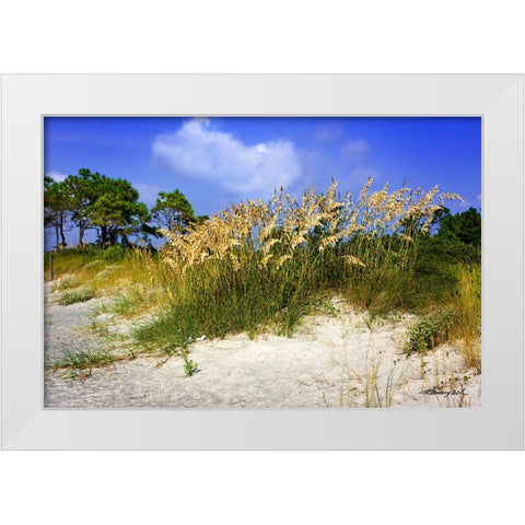 Cape Lookout Island White Modern Wood Framed Art Print by Hausenflock, Alan