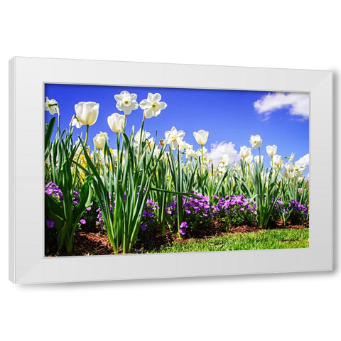 Flower Border I White Modern Wood Framed Art Print by Hausenflock, Alan