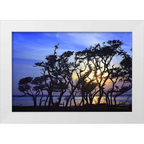 Lennoxville Point White Modern Wood Framed Art Print by Hausenflock, Alan