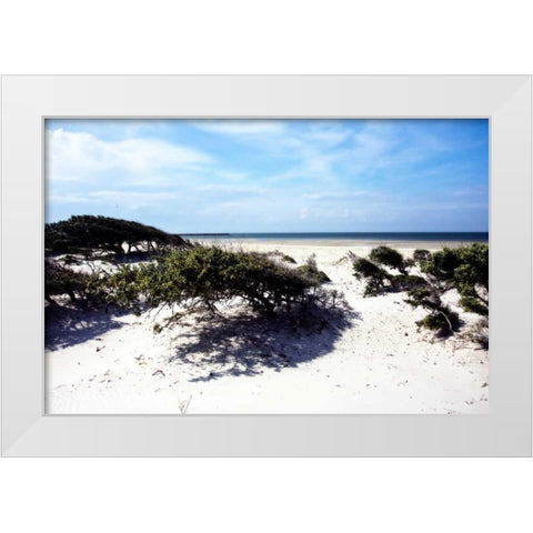 Cedar Island I White Modern Wood Framed Art Print by Hausenflock, Alan