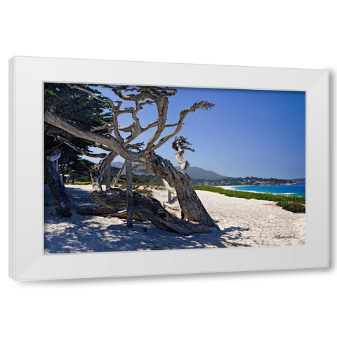 Carmel Beach White Modern Wood Framed Art Print by Hausenflock, Alan