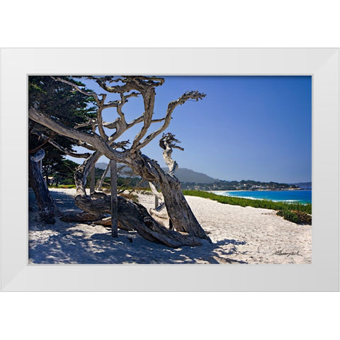 Carmel Beach White Modern Wood Framed Art Print by Hausenflock, Alan