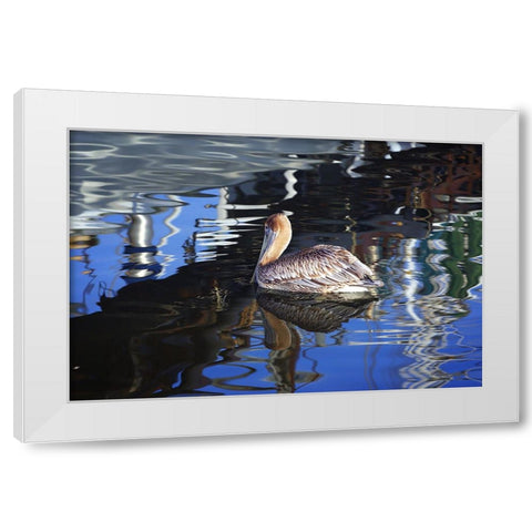 Reflections And a Pelican White Modern Wood Framed Art Print by Hausenflock, Alan