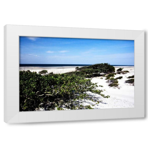 Cedar Island II White Modern Wood Framed Art Print by Hausenflock, Alan