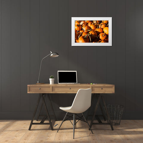 Pumpkins White Modern Wood Framed Art Print by Hausenflock, Alan