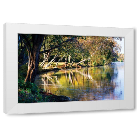 Autumn on the James II White Modern Wood Framed Art Print by Hausenflock, Alan